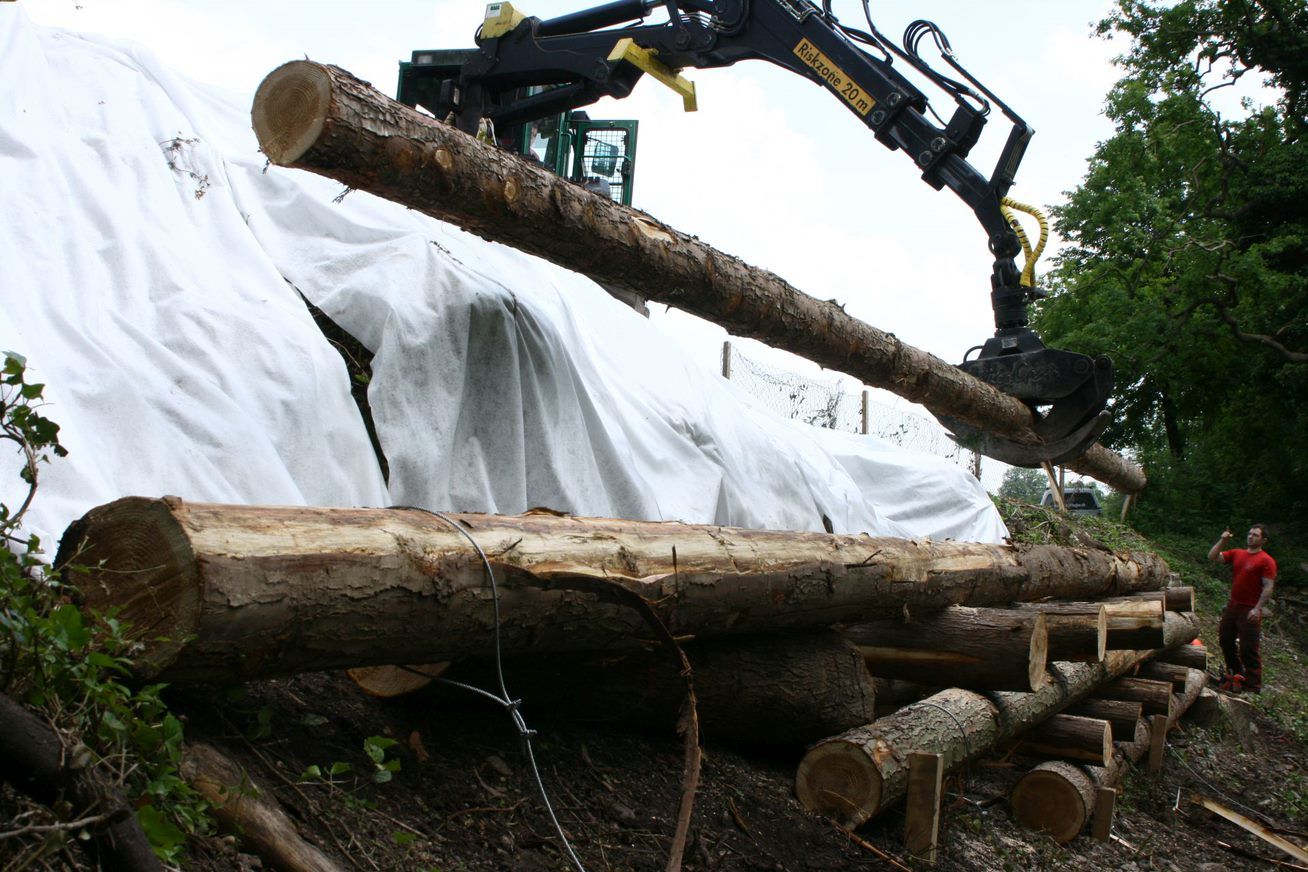 Holzverbauung Steilhang