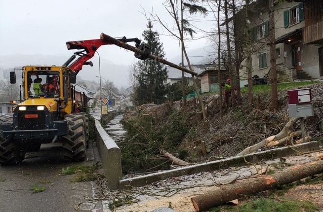 Sicherheitsholzerei an einer Kantonsstrasse